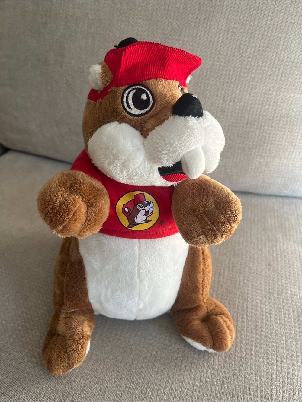 Bucee the Beaver stuffed animal